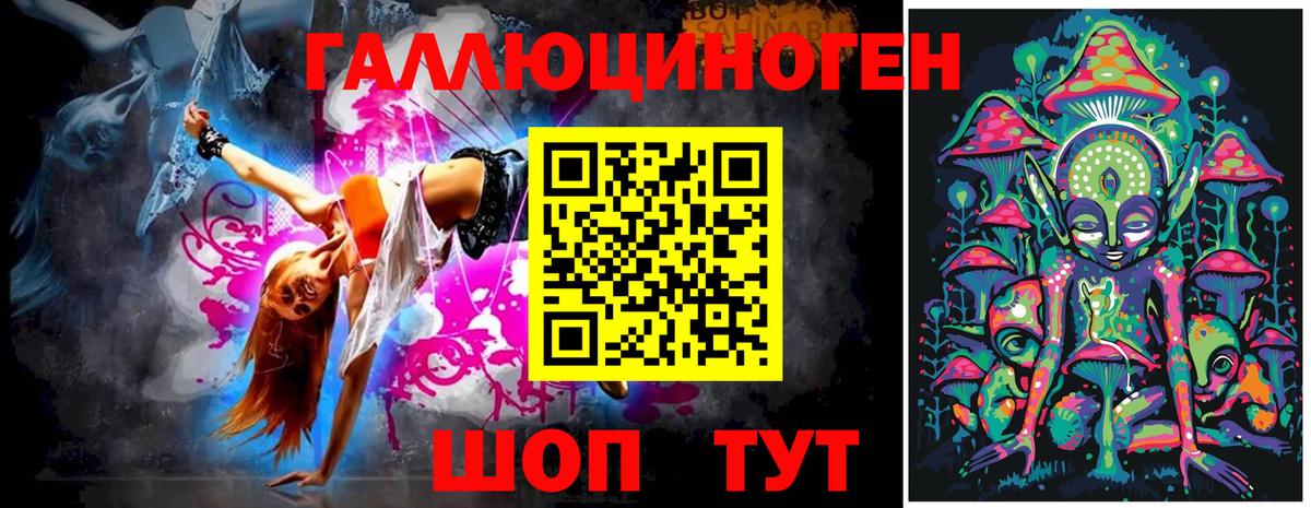 Галлюциногенные грибы Psilocybine cubensis Пенза